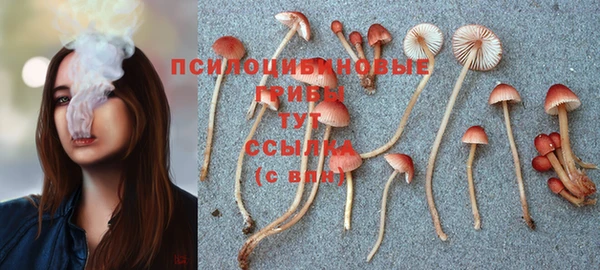 каннабис Вязьма